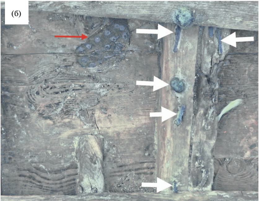 Nails embedded in the ship’s timber, marked with arrows, in situ.