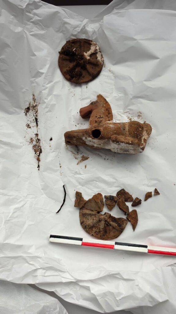 Ancient Roman clay horse toy and associated fragments displayed on conservation paper.