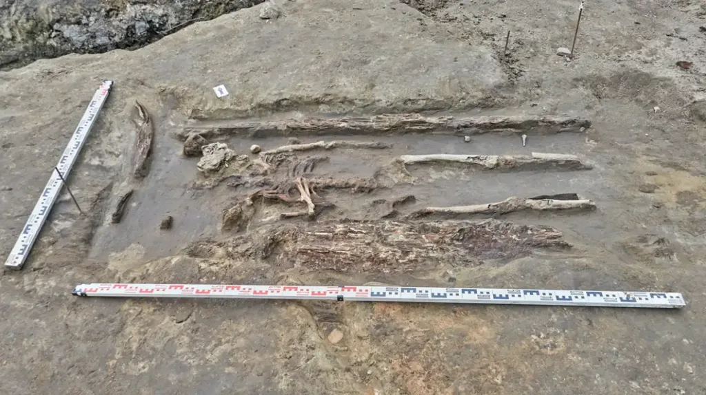 Archaeological excavation of the medieval necropolis at Staraya Russa, where researchers uncovered 14 graves.