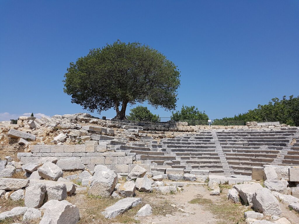 Stone seating rows of the ancient bouleuterion at Teos, where educational examinations took place during the Hellenistic period.