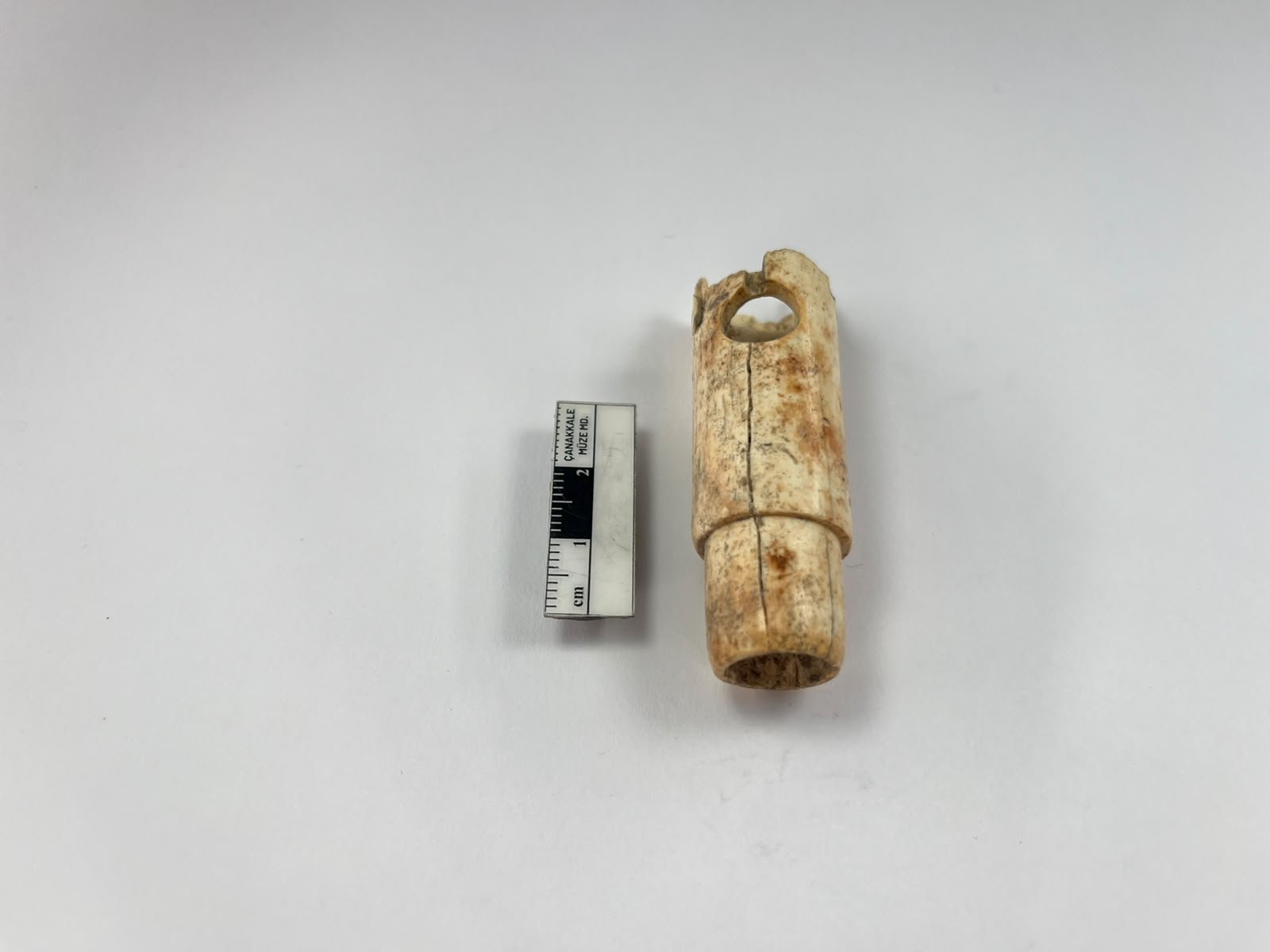 Troy’s First Musical Instrument Discovered Alongside 4,500-Year-Old ...