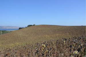 Unknown Bronze Age Coastal Settlement with Unusual Pottery Found Near Troy