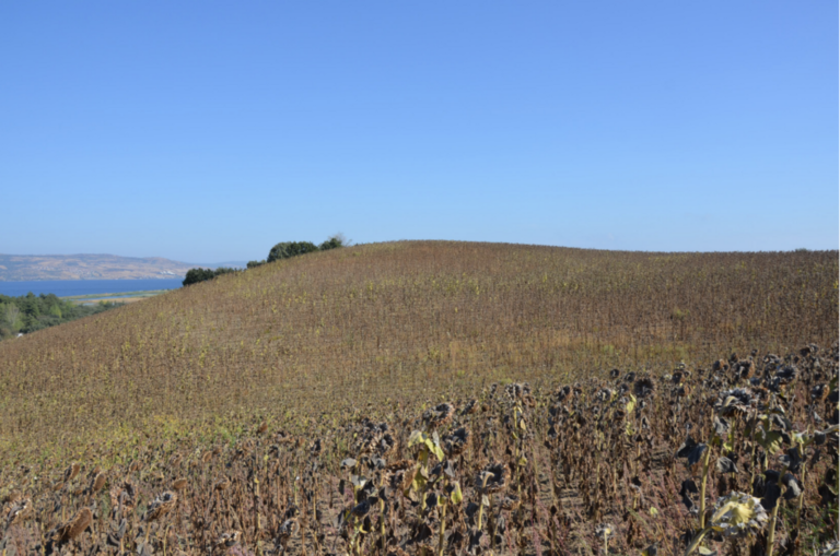 Unknown Bronze Age Coastal Settlement with Unusual Pottery Found Near Troy