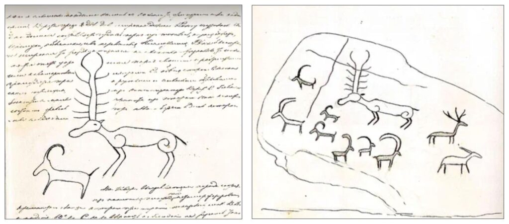 Historical drawings of deer and wild goat figures from Pyotr Semyonov-Tyan-Shansky's 1856 travel diary, documenting ancient rock art in Kazakhstan.