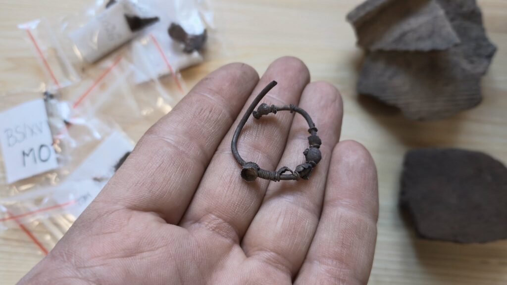 Close-up of an early medieval silver temple ring with decorative beads, resting in an archaeologist's hand.