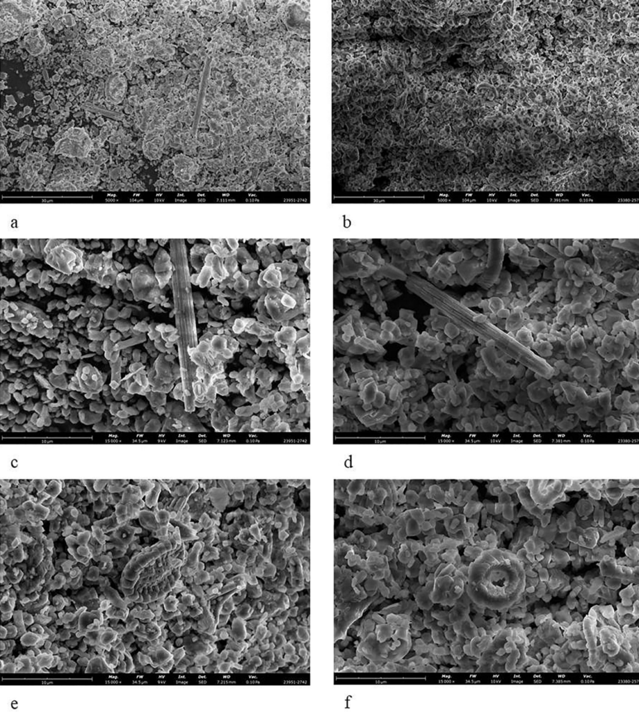 Six electron microscope images showing the mineral microstructure and coccoliths in ancient cosmetic powder samples from Kazakhstan.