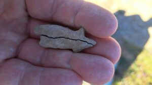 6,500-Year-Old Female Figurine Discovered on First Day of Excavations in Transylvania