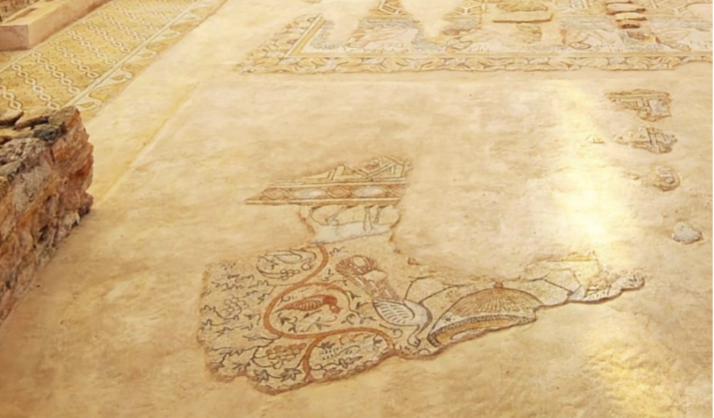 Fragment of an early Byzantine floor mosaic depicting a peacock in a refrigerium scene at the Church of the Four Rivers in Hadrianoupolis, Türkiye.