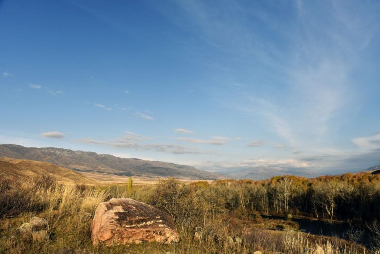 Rock bearing a single ancient petroglyph in the Koksu River Valley of southeastern Kazakhstan.