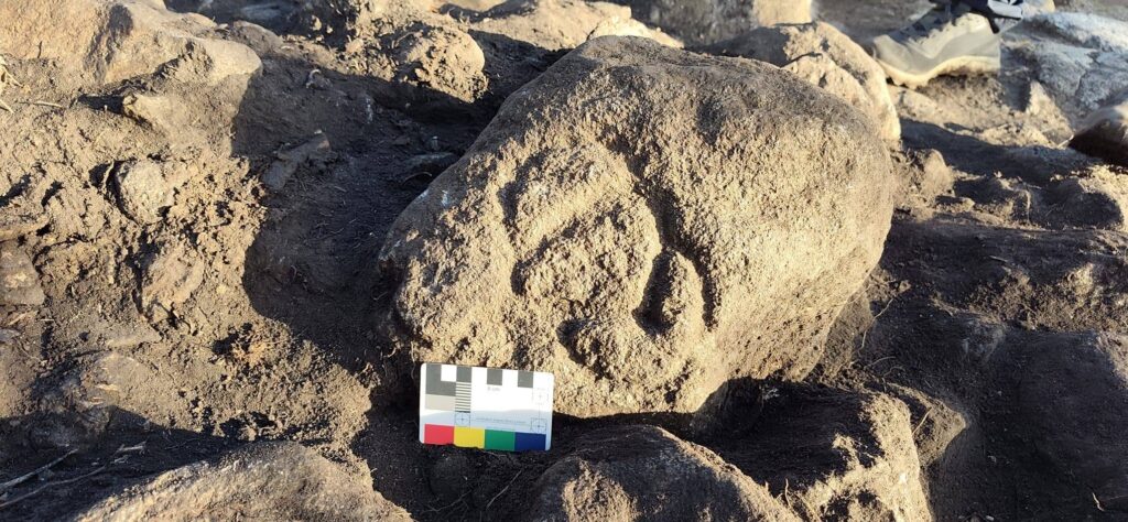 
Granite stone at the Pico da Bandeira excavation showing a rough petroglyph on its reverse side, photographed in situ with a measuring scale in front.